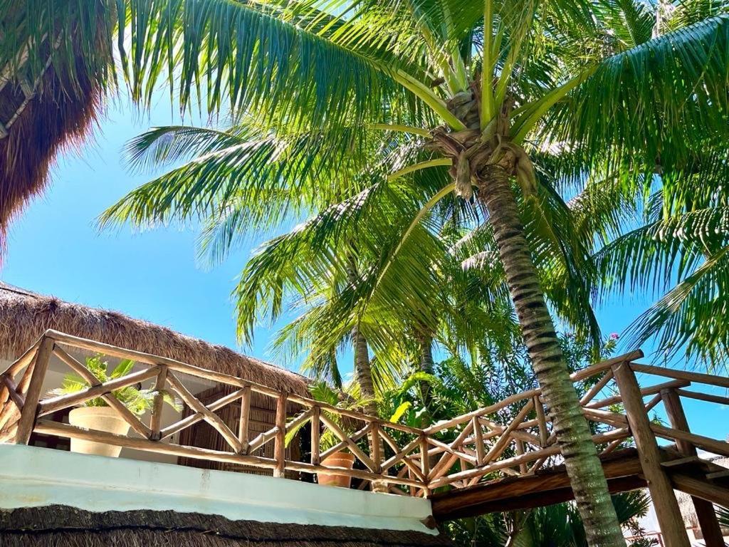 Bed and Breakfast Casa Tom Tom - Adults Only Isla Holbox Exterior foto