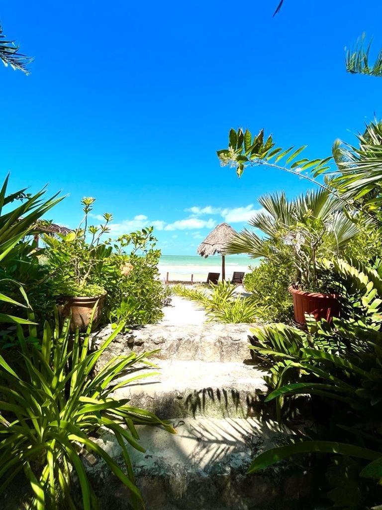 Bed and Breakfast Casa Tom Tom - Adults Only Isla Holbox Exterior foto